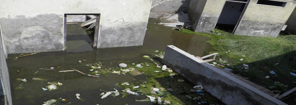 aniego-viviendas-miramar-portada